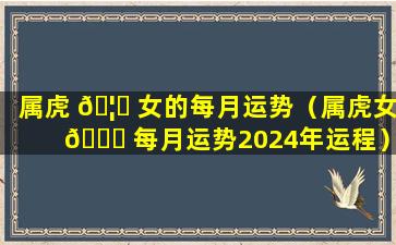 属虎 🦄 女的每月运势（属虎女 🐘 每月运势2024年运程）